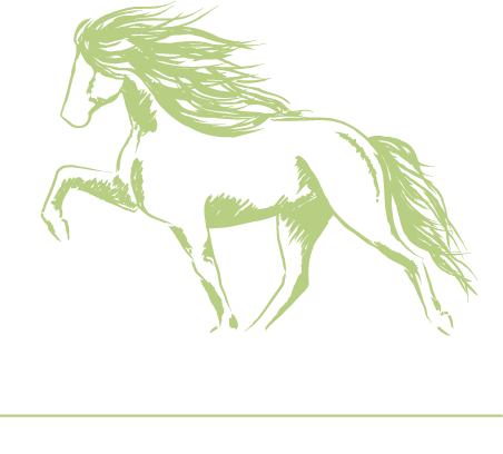 Wiesenhof – Islandpferdezentrum Jugend